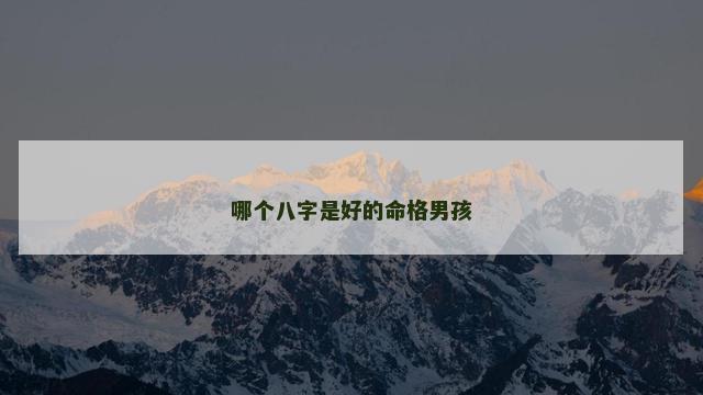 哪个八字是好的命格男孩