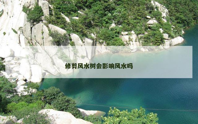 修剪风水树会影响风水吗