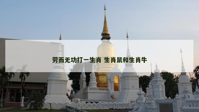 劳而无功打一生肖 生肖鼠和生肖牛