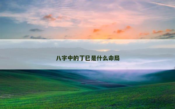 八字中的丁巳是什么命局
