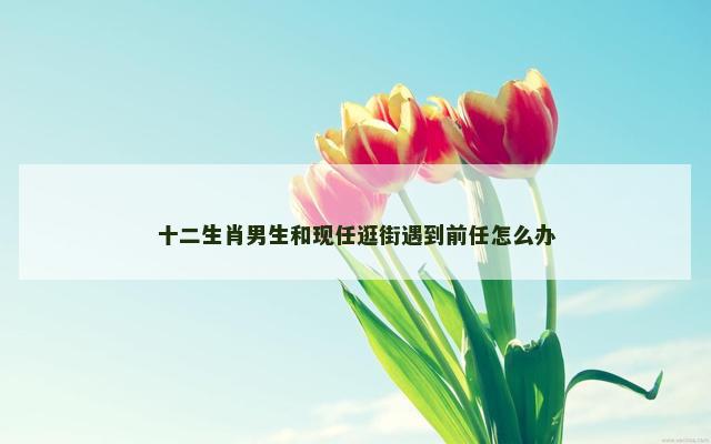 十二生肖男生和现任逛街遇到前任怎么办