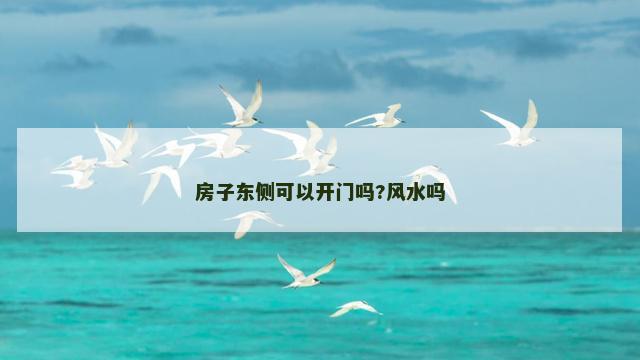 房子东侧可以开门吗?风水吗