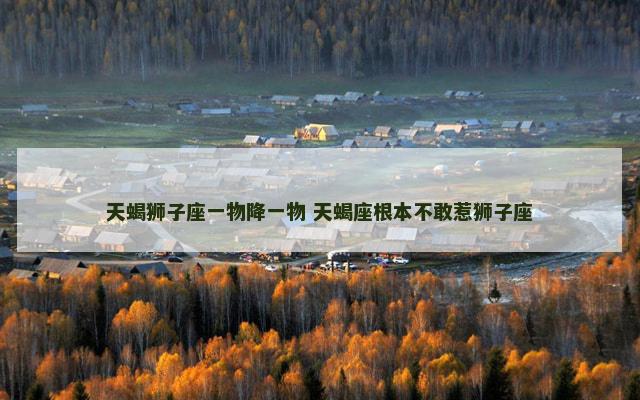 天蝎狮子座一物降一物 天蝎座根本不敢惹狮子座