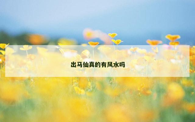 出马仙真的有风水吗