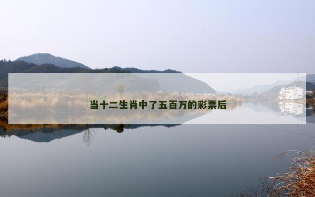 当十二生肖中了五百万的彩票后