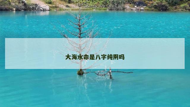 大海水命是八字纯阴吗
