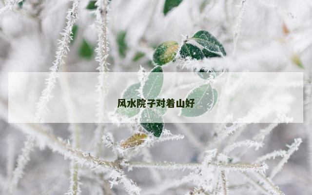 风水院子对着山好
