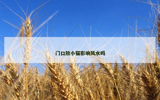 门口放小猫影响风水吗