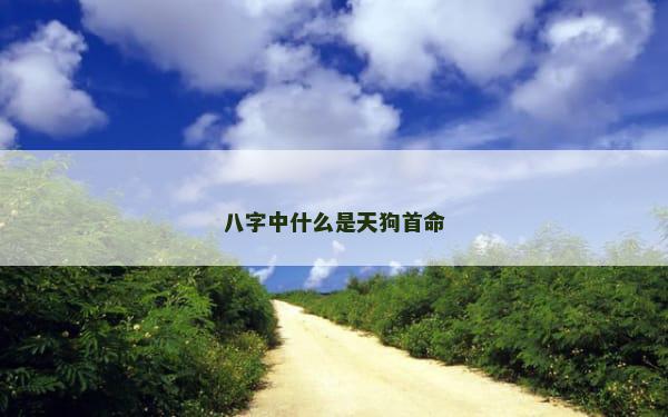 八字中什么是天狗首命