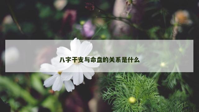 八字干支与命盘的关系是什么