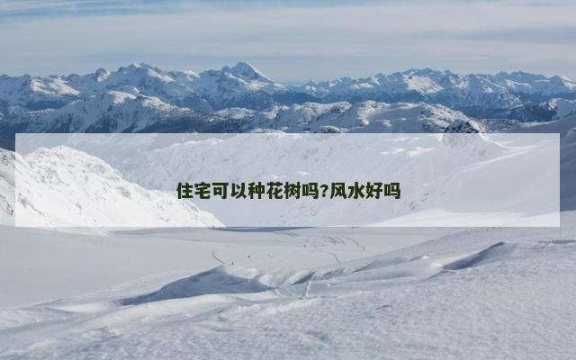 住宅可以种花树吗?风水好吗