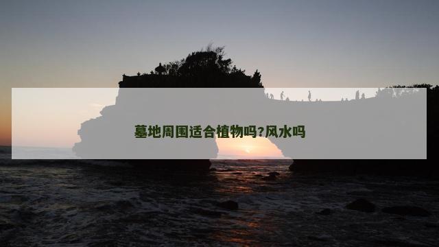 墓地周围适合植物吗?风水吗