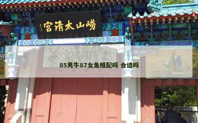 85男牛87女兔相配吗 合适吗