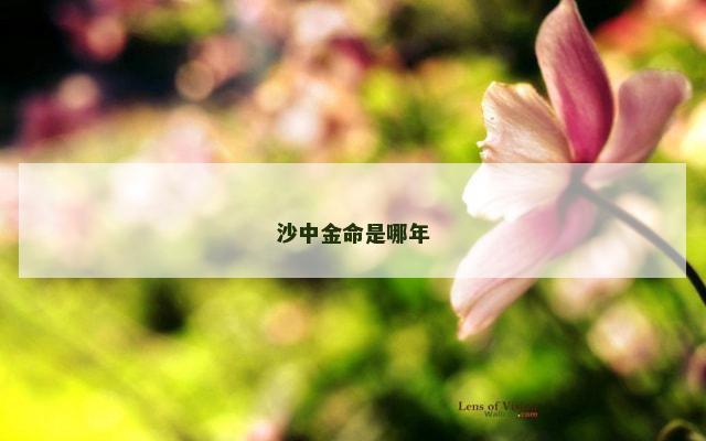 沙中金命是哪年