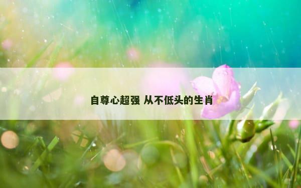 自尊心超强 从不低头的生肖