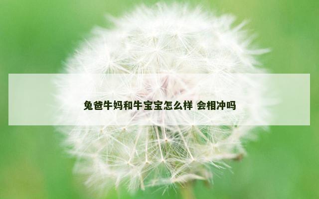 兔爸牛妈和牛宝宝怎么样 会相冲吗