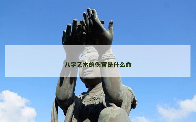 八字乙木的伤官是什么命