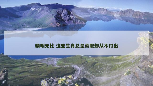 精明无比 这些生肖总是索取却从不付出