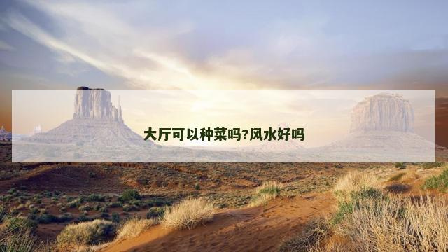 大厅可以种菜吗?风水好吗