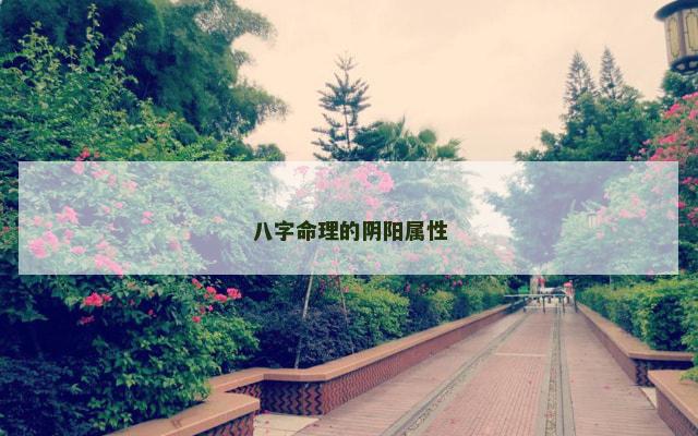八字命理的阴阳属性
