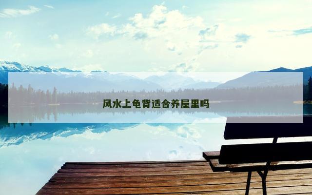 风水上龟背适合养屋里吗