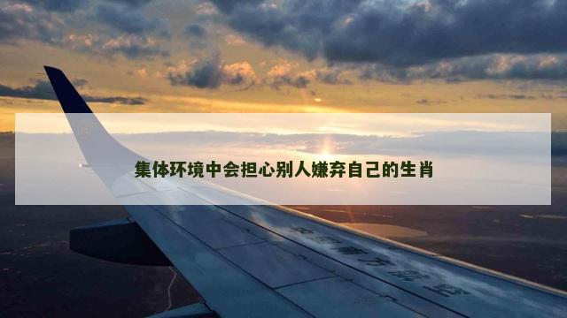 集体环境中会担心别人嫌弃自己的生肖