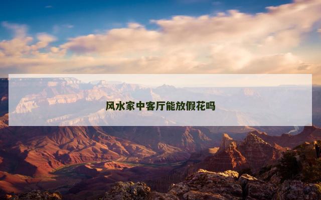 风水家中客厅能放假花吗