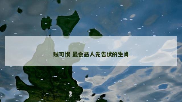 贼可恨 最会恶人先告状的生肖