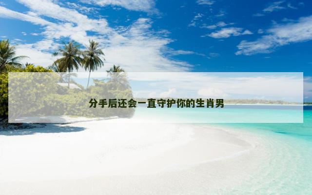 分手后还会一直守护你的生肖男