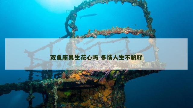 双鱼座男生花心吗 多情人生不解释