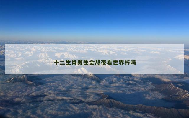十二生肖男生会熬夜看世界杯吗