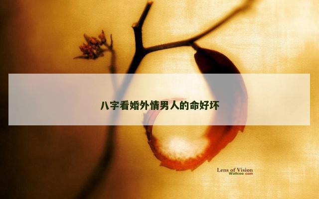 八字看婚外情男人的命好坏