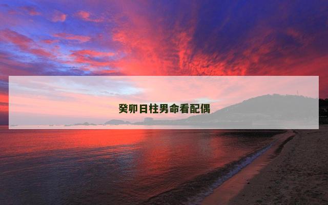 癸卯日柱男命看配偶