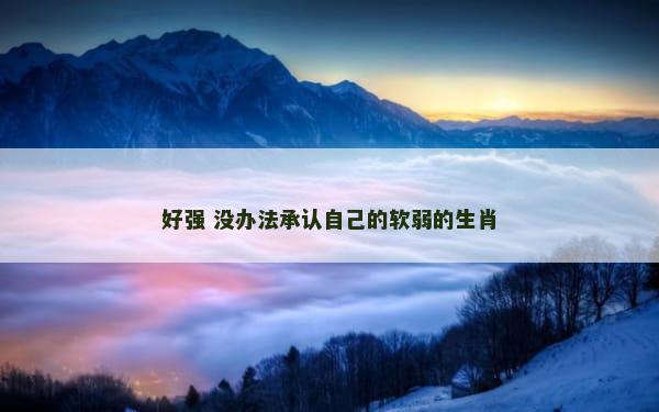好强 没办法承认自己的软弱的生肖