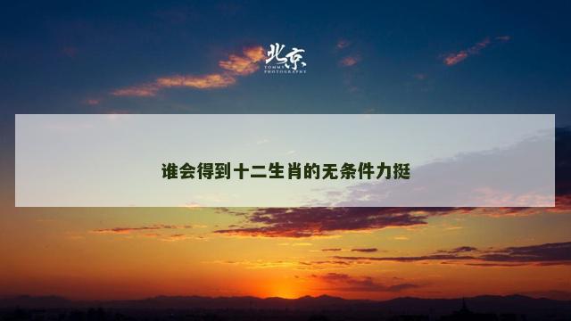 谁会得到十二生肖的无条件力挺
