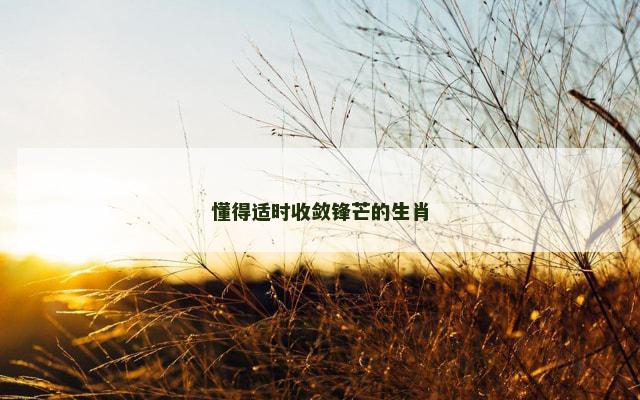 懂得适时收敛锋芒的生肖