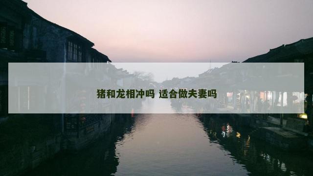 猪和龙相冲吗 适合做夫妻吗