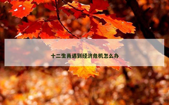 十二生肖遇到经济危机怎么办