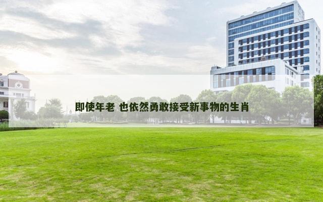 即使年老 也依然勇敢接受新事物的生肖