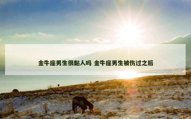 金牛座男生很黏人吗 金牛座男生被伤过之后