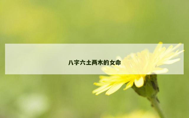 八字六土两木的女命
