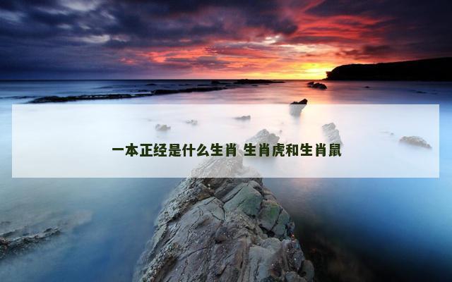 一本正经是什么生肖 生肖虎和生肖鼠