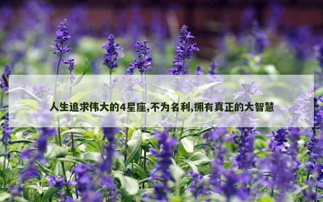 人生追求伟大的4星座,不为名利,拥有真正的大智慧