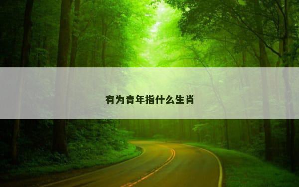 有为青年指什么生肖