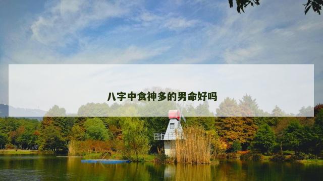 八字中食神多的男命好吗