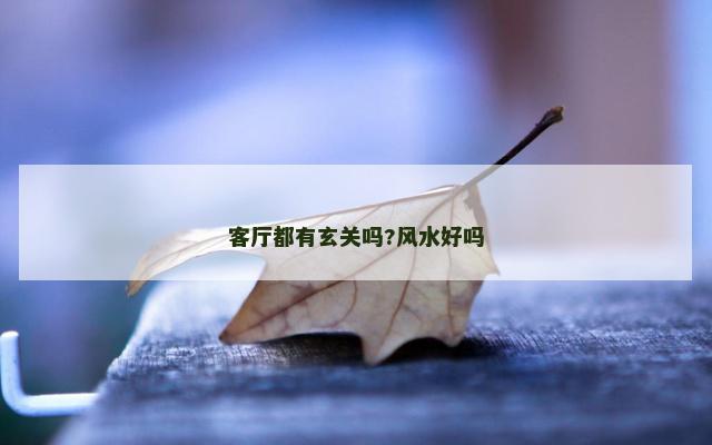 客厅都有玄关吗?风水好吗