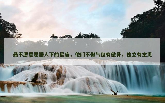 最不愿意屈居人下的星座，他们不傲气但有傲骨，独立有主见