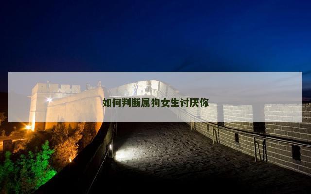如何判断属狗女生讨厌你