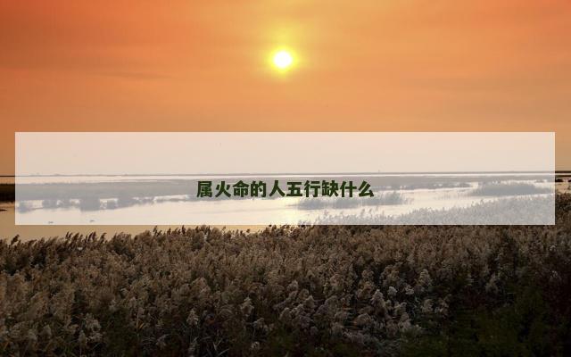 属火命的人五行缺什么