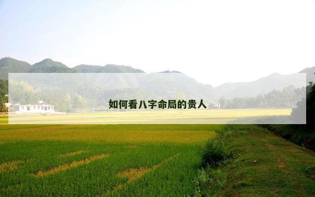 如何看八字命局的贵人